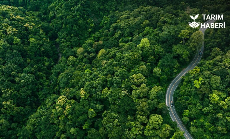 OGM'nin iklim değişikliği mücalesi için hazırladığı 5 yıllık plan