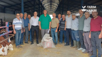 CHP Niğde Milletvekili Gürer: Hayvan ithalatına rağmen et ve süt üretiminde sorunlar sürüyor