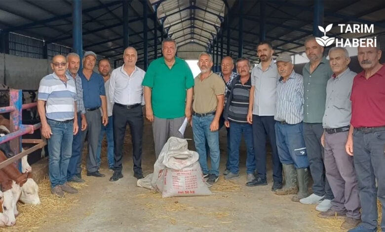 CHP Niğde Milletvekili Gürer: Hayvan ithalatına rağmen et ve süt üretiminde sorunlar sürüyor