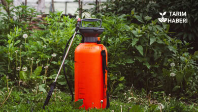 Pestisit kullanımına karşı B-Reçete uygulaması