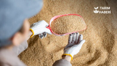 Premix nedir, işlevleri, fiyatları ve özellikleri