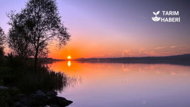 Sapanca ve 7 göl için kuraklığa karşı acil önlem planı