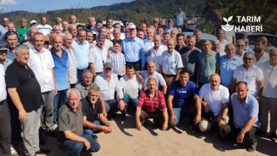 Kuraklık nedeniyle fındık rekoltesi ve üretici tehdit altında