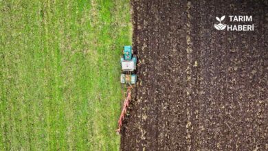 Tarım GFE Haziran artışı