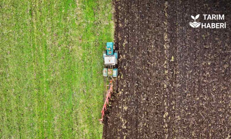 Tarım GFE Haziran artışı