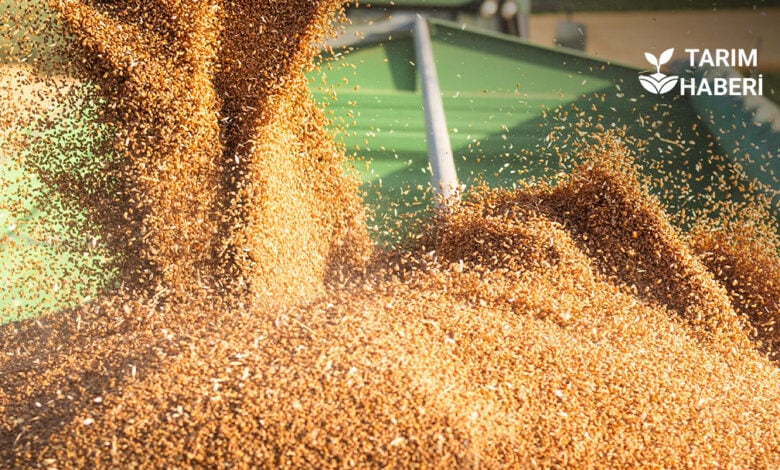 TİGEM 2025 yılı hububat tohumu fiyatları açıklandı
