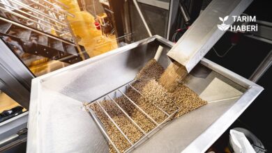 TMO’nun tarımsal ürün ithalatı kuralları Resmi Gazete'de yayımlandı