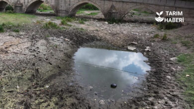 Edirne Tunca Nehri kurudu