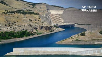 Türkiye kuraklık haritası çıkarıldı.