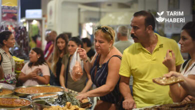 Yörex fuarı Almanya'da düzenlenecek