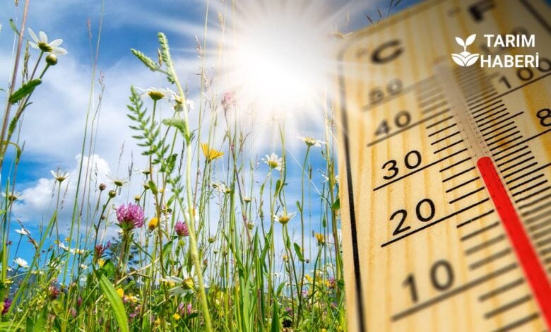 Yüksek sıcaklıklar tarımı ve çevreyi olumsuz etkiledi