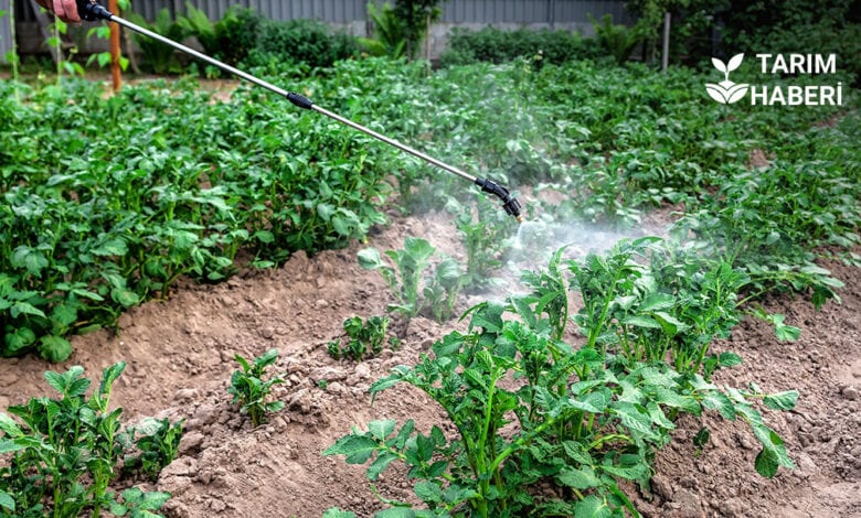 Bakan Yumaklı, pestisit kullanımını azlatmaya yönelik yapılan çalışmaları anlattı