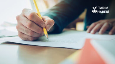 BKUBTS 2025 Sınavı 5 Ekim’de Yapılacak