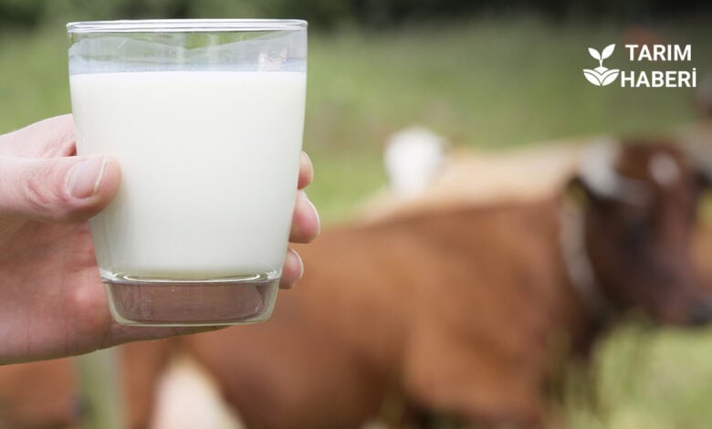 Ekim-Aralık 2025 çiğ süt referans fiyatı
