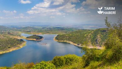 Türkiye’ye Dünya Bankası’ndan 600 milyon dolar destek