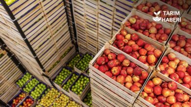 Limon ve elma kayda bağlı mallar listesinde ancak ihracat yasağı yok