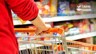 TÜİK Ağustos 2025 enflasyon verilerini açıkladı, yıllık oran %32,95 olarak kaydedildi
