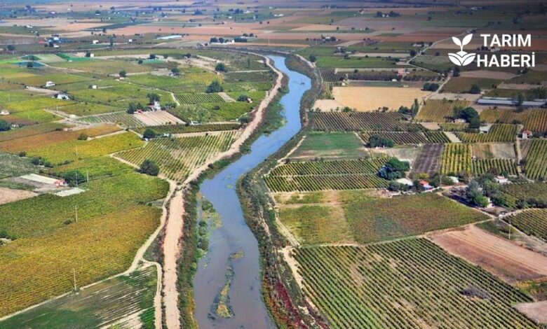 Gediz Nehri kuruma noktasına geldi