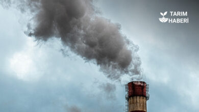 İklim Ağı 2035 hedefi olarak gerçek emisyon azaltımı önerdi