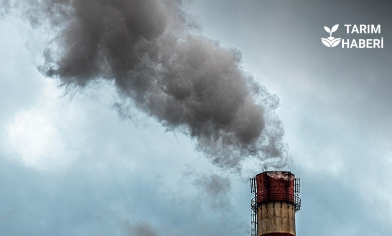 İklim Ağı 2035 hedefi olarak gerçek emisyon azaltımı önerdi