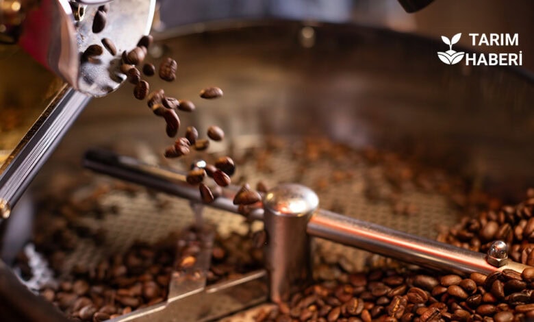 Küresel Arabica kahve fiyatları artışta