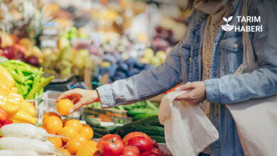 Eylül ayı girdi maliyetleri market ve üretici fiyat farkları