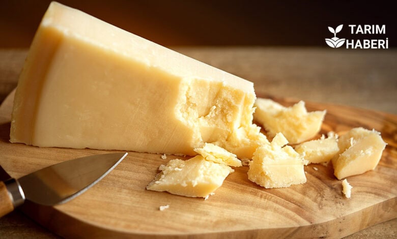 Bakanlık taklit ve tağşiş listesini güncelledi, peynirde hile çıktı