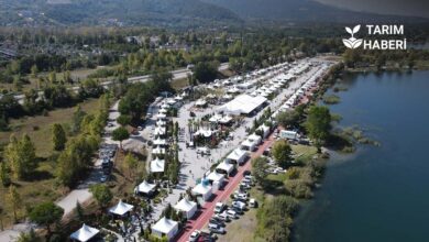 Sakaraya Uluslararası Peyzaj Fuarı başladı.