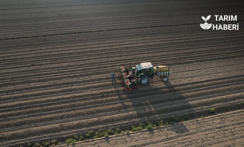 Tarım-GFE yükselişte