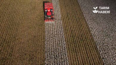 Türkiye’de 7 ayda 6 milyar dolarlık tarım ithalatı