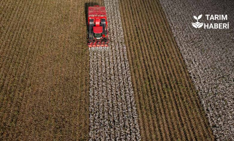 Türkiye’de 7 ayda 6 milyar dolarlık tarım ithalatı