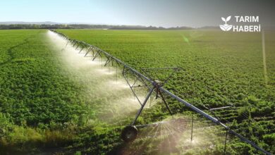 Modern sulama sistemleri yaygınlaşıyor