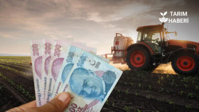 Çiftçilere 4,5 milyar liralık tarımsal destek ödemesi başladı