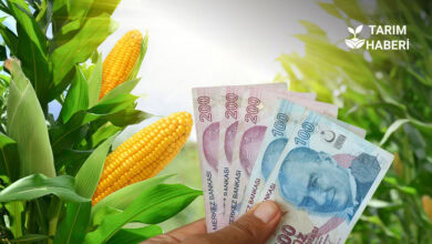 Tarımsal destekler açıklandı