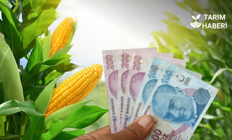 Tarımsal destekler açıklandı
