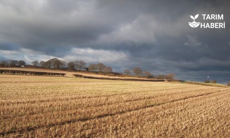 Boş tarlalar Kasım ayı itibarıyla kiraya çıkacak