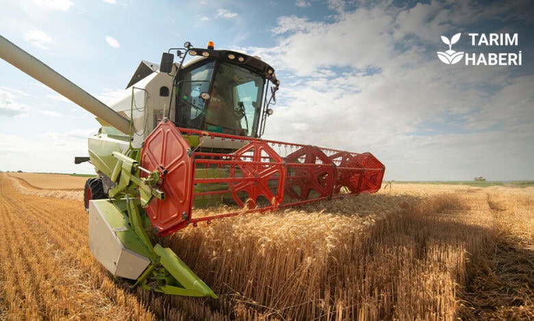 Eylül ayı TÜRİB buğday, mısır ve arpa işlem hacimleri