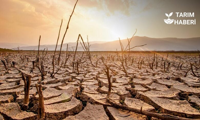 40 sene süren çalışmaya göre Türkiye kuraklık eğilimi