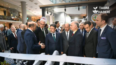 Avrupa Ormancılık Komisyonu (EFC) oturumları İstanbul’da başladı.