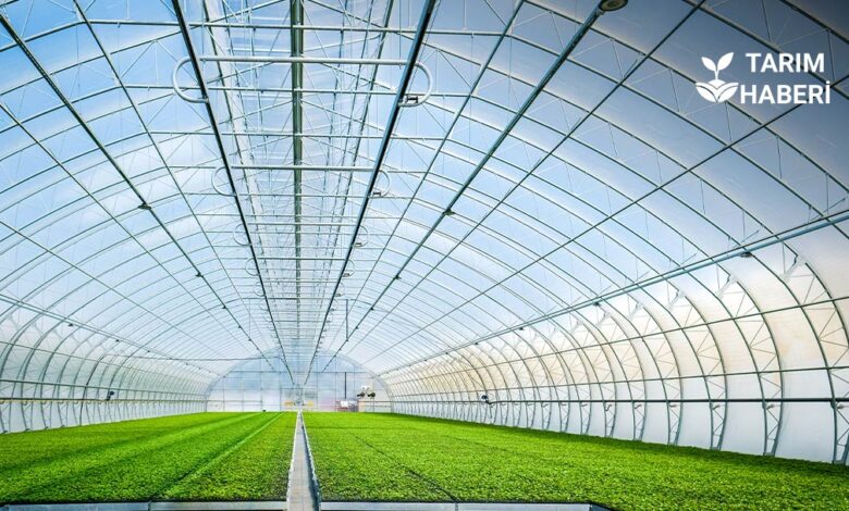 Bafra Sera OTB ile ekonomiye 1.5 milyar katkı sağlanması bekleniyor