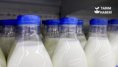 TÜSEDAD'dan çiğ süt regülasyonuna ilişkin açıklama