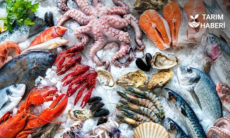 Türkiye’den Çin’e somon, levrek ve badem ihracatına yeşil ışık