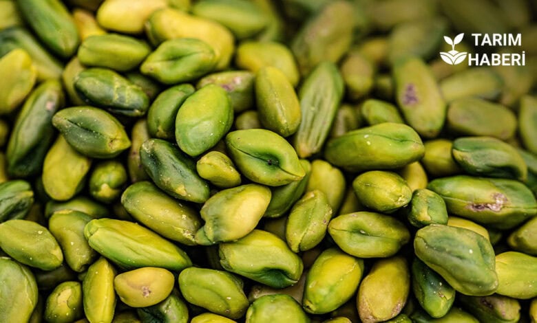 9 ayda 152 milyon dolarlık fıstık ihracatı