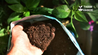 Ekim 2025 gübre fiyatlarında sert artış