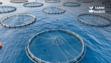 IPARD III başvuru çağrısı yayımlandı