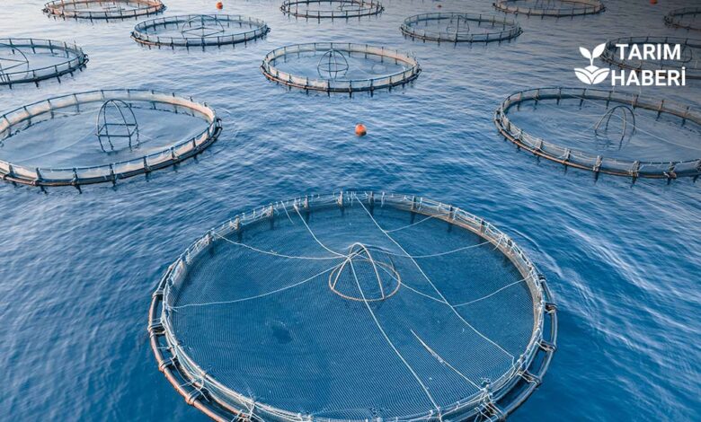 IPARD III başvuru çağrısı yayımlandı