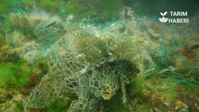 Karadeniz hayalet ağlardan temizleniyor