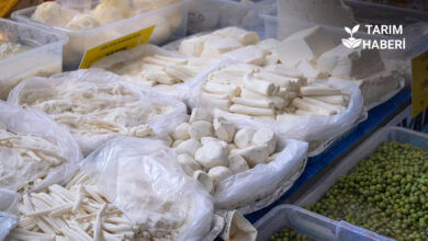 Taklit ve Tağşiş Listesi'nde en fazla uygunsuzluk peynirde