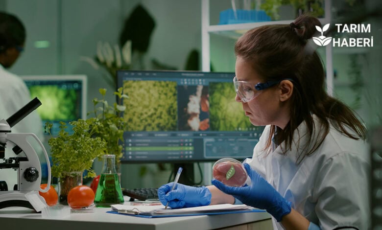 Türk Gıda Kodeksi’nde PFAS için yeni düzenleme