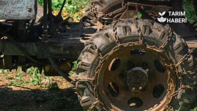 SGK borcu olan çiftçiler tarım kredisi alamayacak